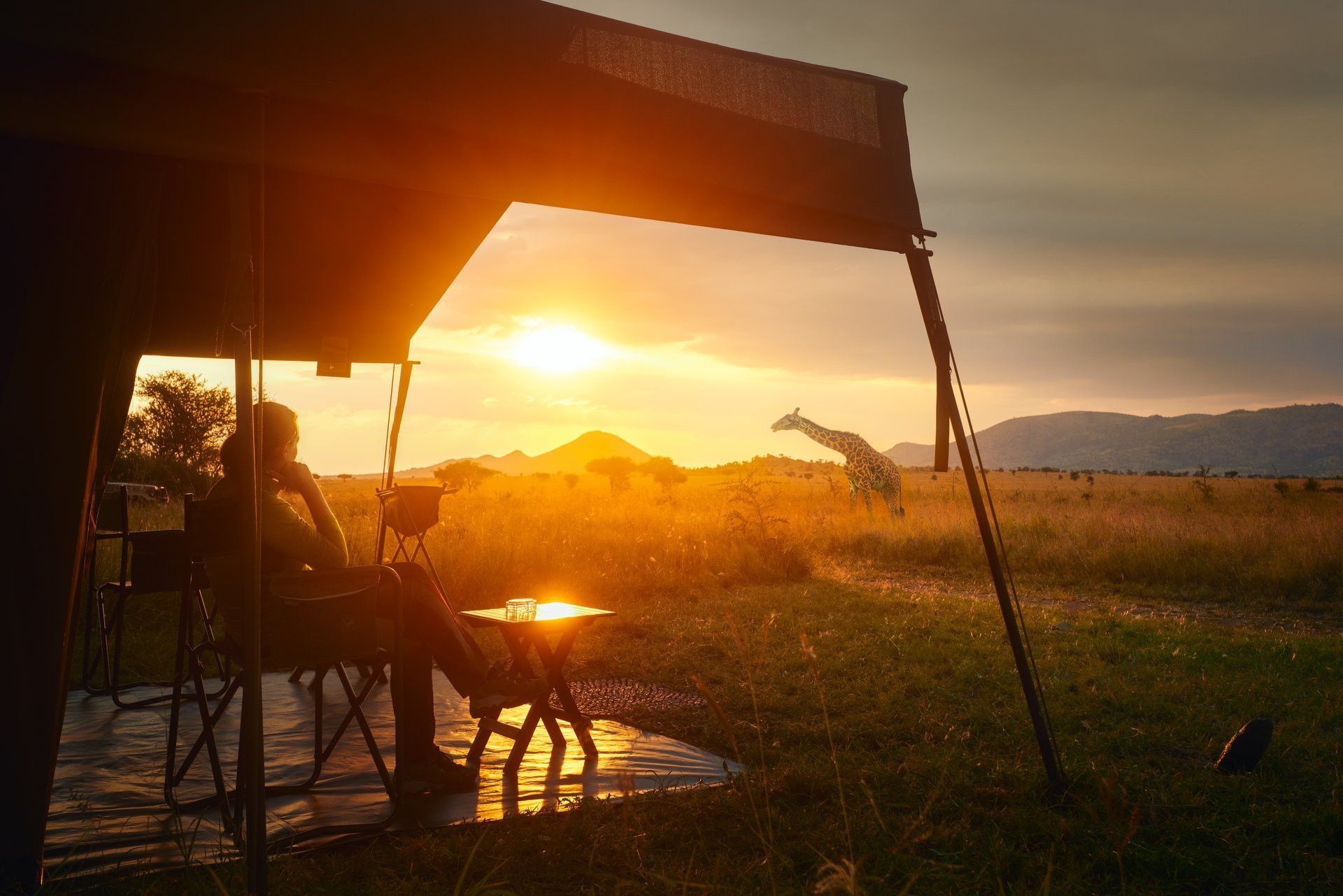 Safari at sunset in Tanzania