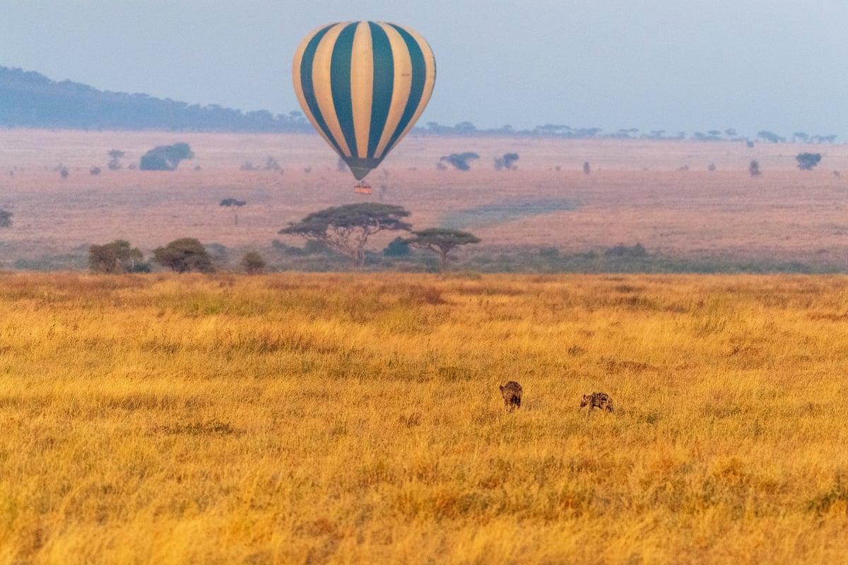 Wildlife in Ngorongoro Crater Tanzania