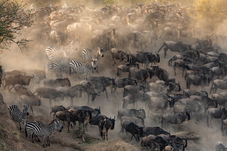 Great Migration