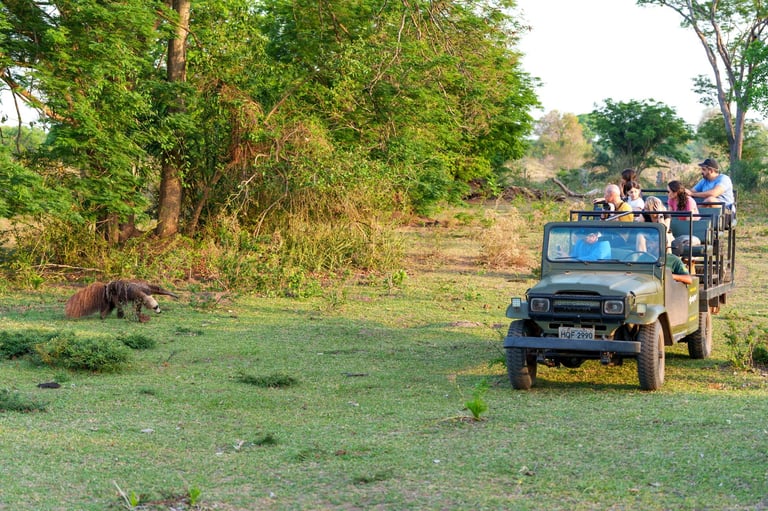 Safari experience in Nyerere National Park Tanzania
