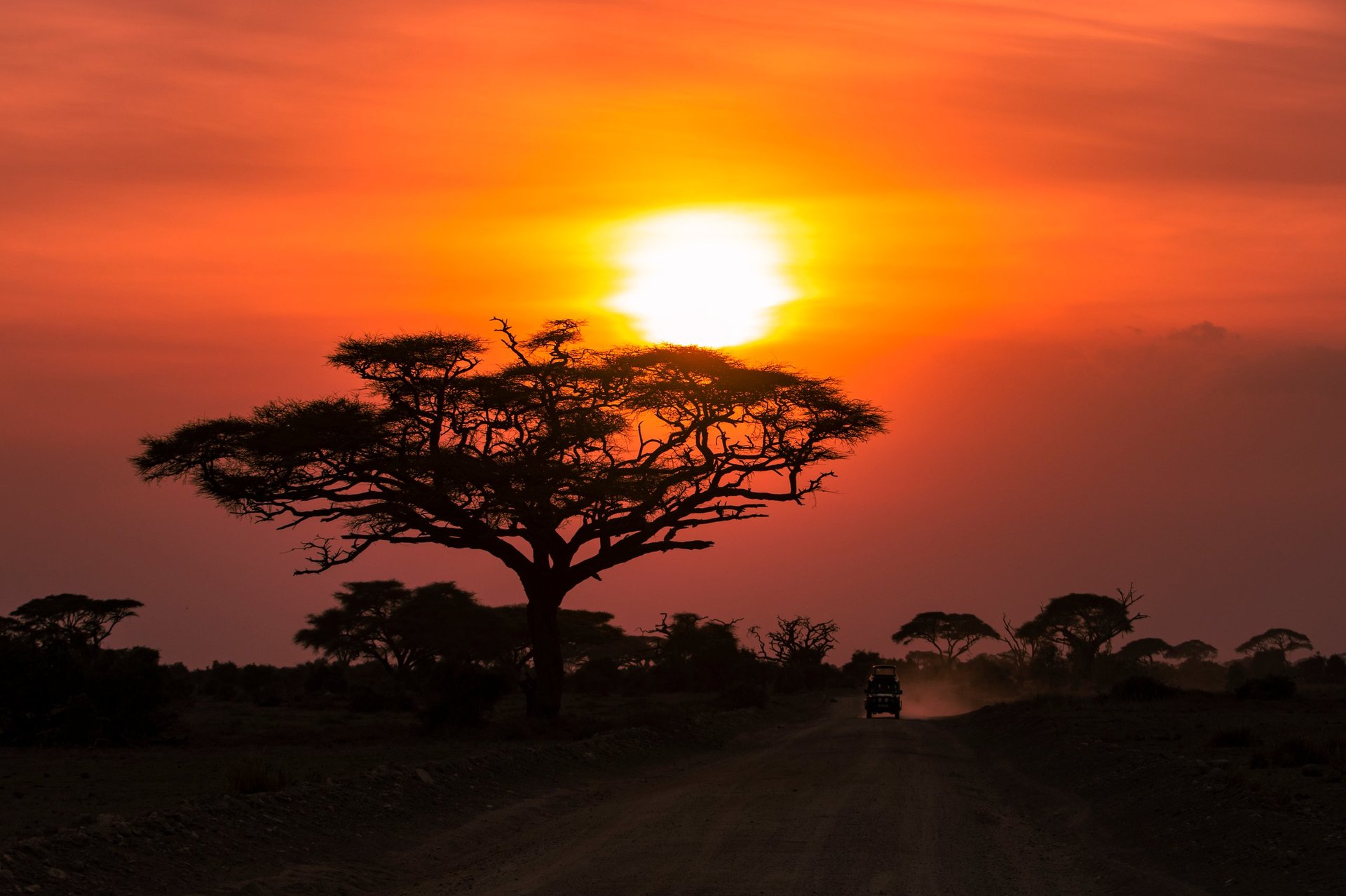 African sunset over the savanna
