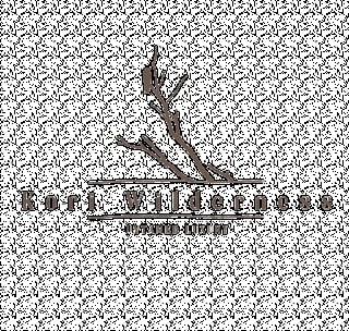 Kori Wilderness logo with minimalist branch illustration and untamed luxury tagline on beige background
