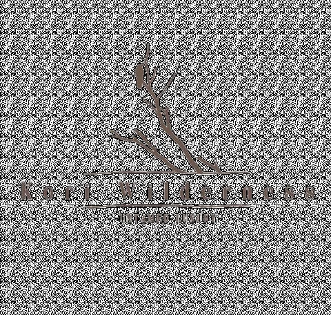 Kori Wilderness logo with minimalist branch illustration and untamed luxury tagline on beige background